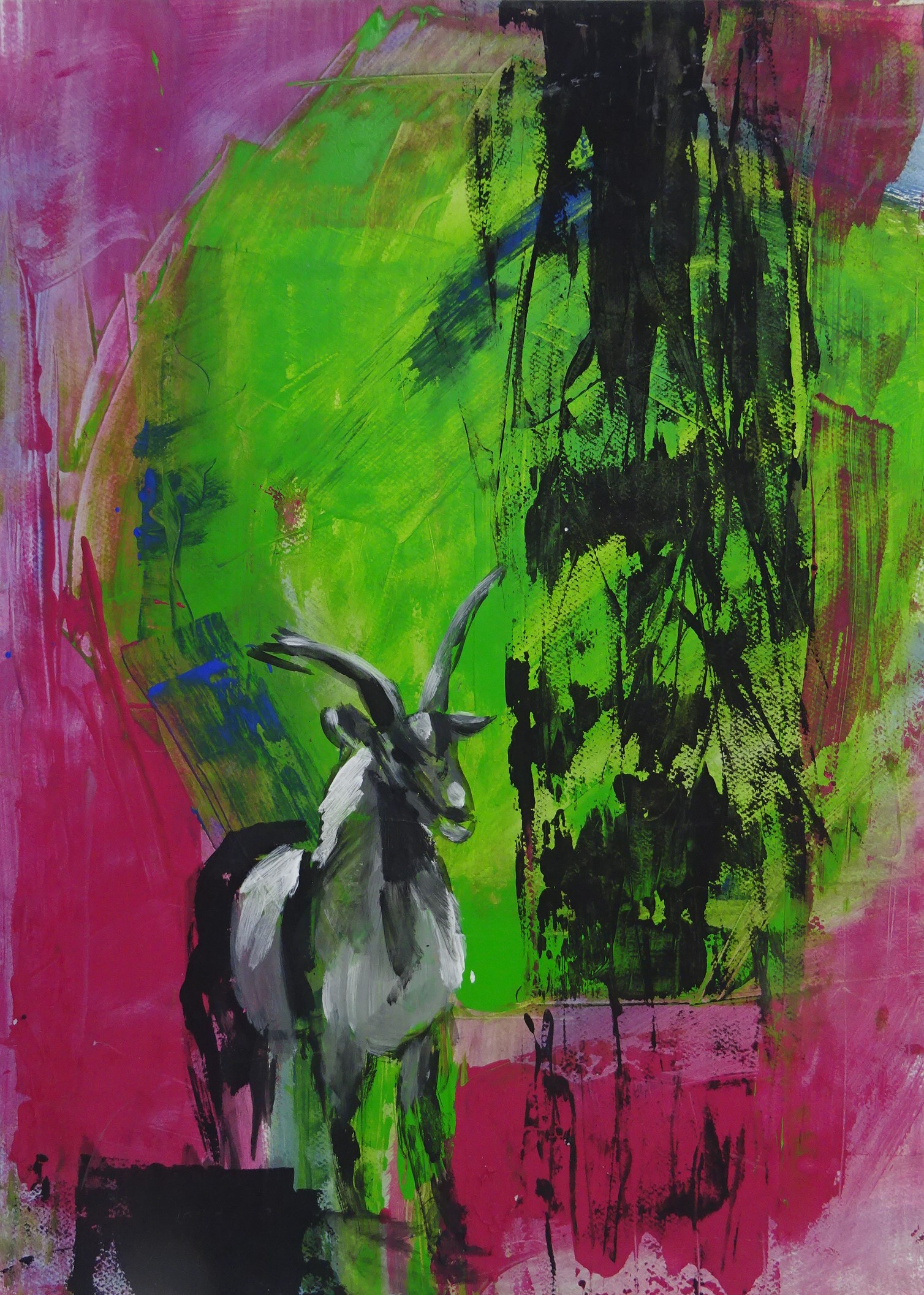 Bild von Franziska Morgner-Fanderl - Gämse, Acryl, 50 x 70